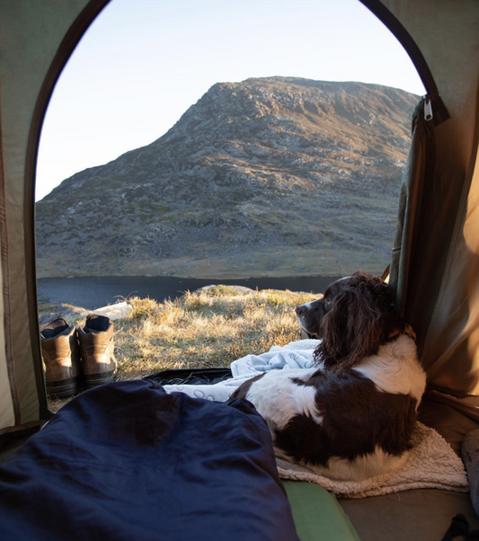 TIPS FOR PACKRAFTING WITH YOUR DOG